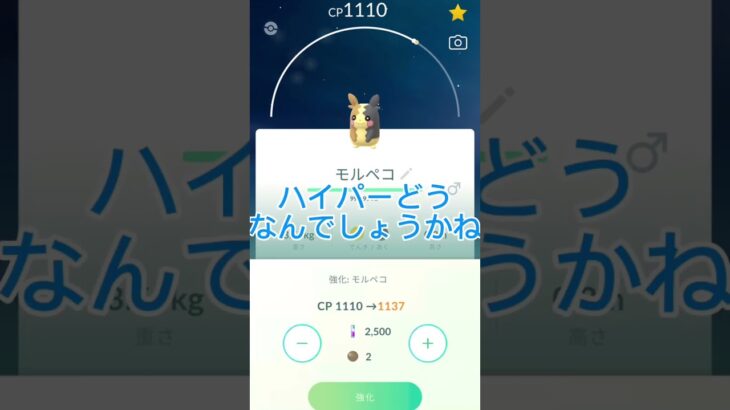 モルペコ100%！！！！！#ポケモンgo #ポケモン