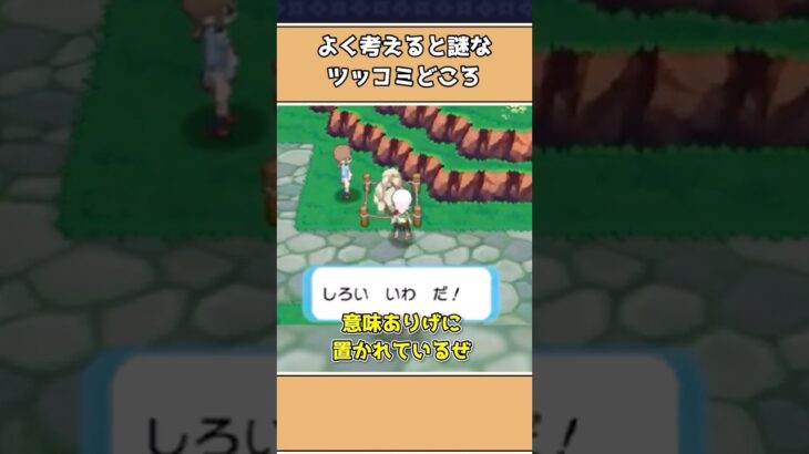 ポケモンのツッコミどころ満載な謎の要素3選