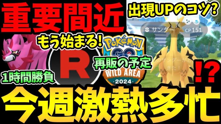 え！もう今夜から開始！？今週も激熱が続く！ガラル3鳥出現UPの噂！これはどうなんだ…？ワイルドエリアチケットの再販も【 ポケモンGO 】【 GOバトルリーグ 】【 GBL 】【 スーパーリーグ 】