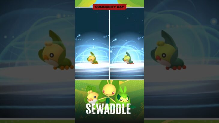 Evolución de Sewaddle normal y Shiny en Pokémon Go