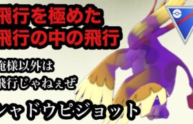 GBL 陽光カップ〈シャドウピジョット〉飛行タイプの最後の希望シャドウピジョットが何をやらせても飛行タイプでしかない【ポケモンGO】