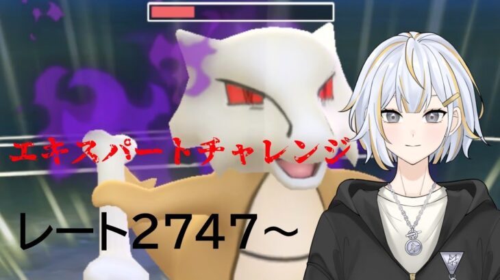 【#GBL 】シャドウガラガラでエキスパートチャレンジ！！【 #新人vtuber 】#goバトルリーグ #ポケモンgo #pokemongo