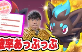 ゾロア色違いGET確率UP方法！キョダイマックスも来る大事な一週間まとめ！