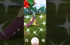 【ポケモンGO】 クチート （色違い） 捕獲動画！！