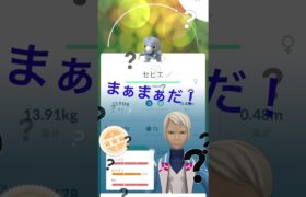 無課金で、ポケモンGO 10キロ卵　から、セビエ