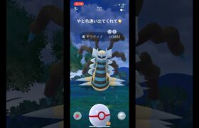 ポケモンGO ギラティナ　オリジン　色違い　個体値100