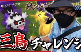 【ポケモンGO】マスターボール・・・最終章へ！！色違いガラル三鳥を捕獲せよ！！「老」と歩けば何かが起こる！？【筋肉バトル】