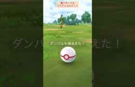 【難易度高】シャドウダンバル極小サークルクリティカルゲット！【ポケモンGO】