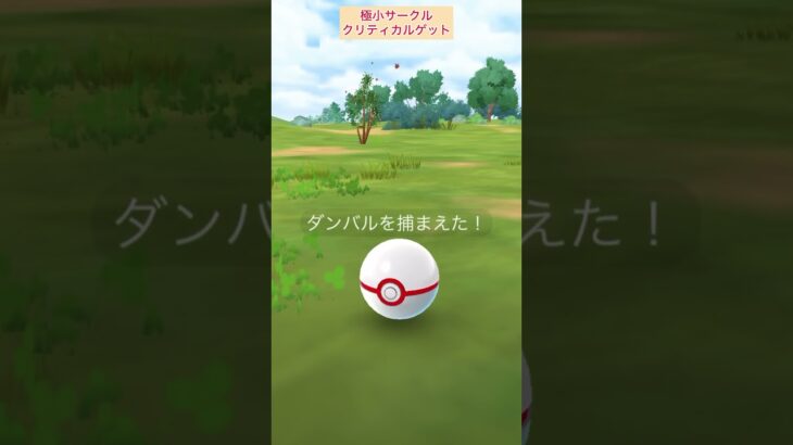 【難易度高】シャドウダンバル極小サークルクリティカルゲット！【ポケモンGO】