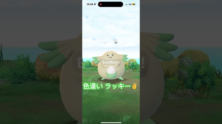 色違い ラッキー✌️  ラッキー チャチャチャ😍‼️ ポケモンGO