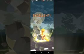 ハロウィンカップ【ポケモンGO】デスマス、マリル、ツボツボ※リトルバージョン