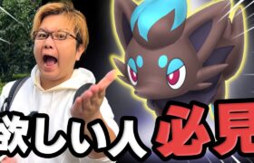 ゾロア色違いが欲しい初心者さん、これ絶対やって下さい!!!【ポケモンGO】