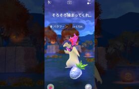 ヒスイバクフーンやってみた！#ポケモンGO#レイド