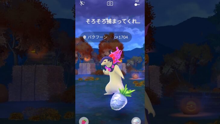 ヒスイバクフーンやってみた！#ポケモンGO#レイド