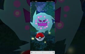 [ポケモンGO]ミカルゲ　色違い