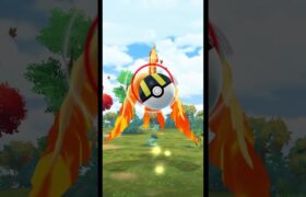 ガラルファイヤー色違い捕獲シーン【ポケモンGO】