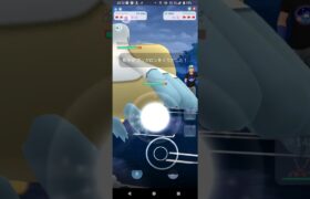 ポケモンGOガラルカップ対戦ペリッパー＆アリアドス＆エンニュート