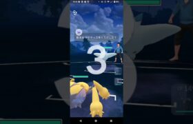 ポケモンGOガラルカップ対戦デンチュラ＆バルジーナ＆ブラッキー