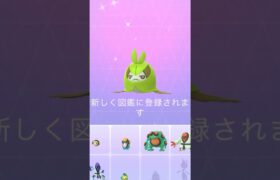 色違いクルマユ図鑑登録【ポケモンGO】