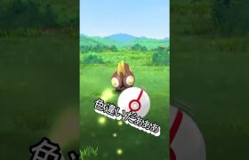 【ポケモンGO】集合体恐怖症ポケモンタイレーツの色違いを捕獲した！