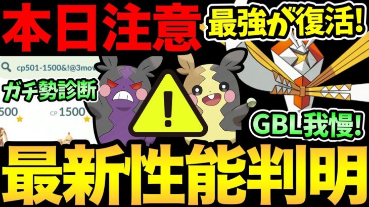 最強が復活だ！最新版レイドアタッカー性能が判明！今日の日跨ぎは注意して！【 ポケモンGO 】【 GOバトルリーグ 】【 GBL 】【 ハロウィンカップ 】