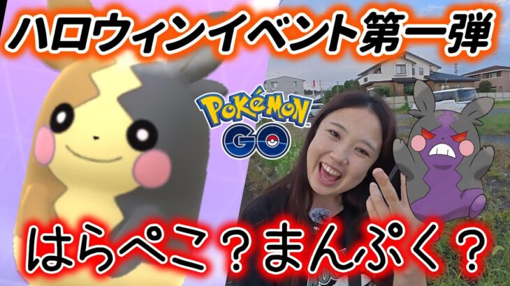 【第一弾】モルペコが可愛すぎる💕☺️超お得なハロウィンイベント🎃👻 ポケモンGO Pokémon GO Japan 포켓몬고