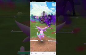 ポケモンGO ガラルカップ Sドリュウズ、エーフィ、エンニュート