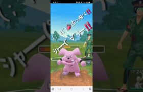 ポケモンGO 通常ハイパーリーグ Sカイリュー、Sカイリキー、アシレーヌ