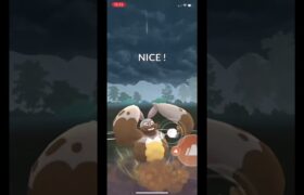 【ポケモンGO】甘えて泥かけてゴリ押し！ #gbl #goバトルリーグ #ポケモンgo #スーパーリーグ  #shorts #pokemongo