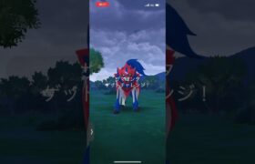 【ポケモンGO  ザマゼンタ色違いチャレンジ】レイドアワーにて！　#ポケモンgo   #ザマゼンタ　#色違い　#レイドアワー