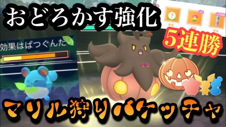 『ポケモンGO』環境に多いマリルに激強！技強化もされたバケッチャが化ける【ハロウィンリトルカップ】#ポケモン #ポケモンgo #gbl #pokemongo #pokemon #ゲーム #ゲーム実況