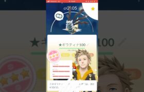 ポケモンGOで自慢のポケモン達！#ポケモン #ポケモンgo #pokemon #pokemongo #shorts