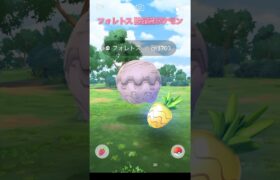 ポケモンGOの防衛型ポケモン野生のフォレトスがあらわれた #shorts @onepoke.