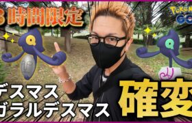 【ポケモンGO】３時間限定！！ガチの色違いチャンスを見逃すな！！デスマスのリサーチデイ前日確認＋おさおこで色違いガラル三鳥を捕獲せよ！！【12タマ12連】