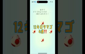 [ポケモンGO]12キロタマゴ4連‼️何が出るかな！？#ポケモンgo #shorts