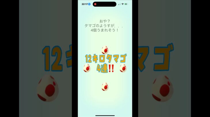 [ポケモンGO]12キロタマゴ4連‼️何が出るかな！？#ポケモンgo #shorts