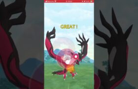 ポケモンGOバトルリーグ　マスターリーグ156