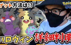 【ポケモンGO】モルペコのゲット方法判明！ハロウィンイベント2024速報！新規色違いシャドウ＋色違いガラル三鳥を狙い散らせ！【GOロケット団占拠】