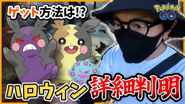 【ポケモンGO】モルペコのゲット方法判明！ハロウィンイベント2024速報！新規色違いシャドウ＋色違いガラル三鳥を狙い散らせ！【GOロケット団占拠】