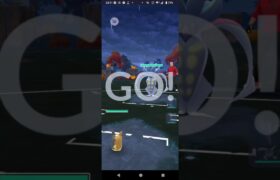 ポケモンGOハロウィンカップ対戦モルペコ＆ゲッコウガ＆エンニュ全5戦④