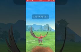 ポケモンGOバトルリーグ　スーパーリーグ81