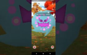 ポケモンGO『ミカルゲ色違い』GET☺