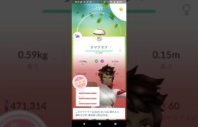 ポケモンGO『タマゲタケ評価Max』採れたてのキノコ