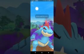 スーパーリーグ【ポケモンGO】フシギバナ、Sオーダイル、Sカイリキー