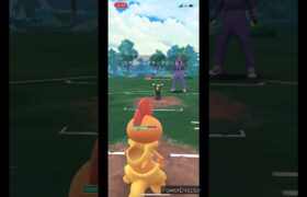 【ポケモンGO】ズルズキン⚡️VSブラッキー🐱