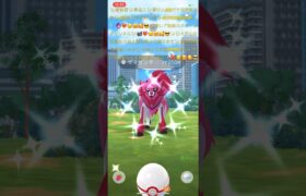 ✨【激レア動画緊急ＵＰ】【ポケモンGO】【初実装】【初日色違いザマゼンタ降臨神引き】🐺📹❤️‍🔥😉🤗🥰😎✨@crystalquartzm 動画観ると沢山笑顔幸せ動画が観れます🥰