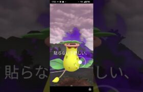 ポケモンGO#goバトルリーグ #ポケモン #ポケモンgoバトルリーグ #ポケモンgo #pokemongo #pokemon #gbl #スーパーリーグ #陽光カップ