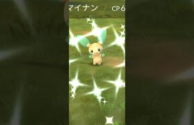 【ポケモンGO】磁力セミナータイムチャレンジ：マイナン！まさかの色違い！？個体値も良き！？#ポケモンgo #ポケモン #pokemongo #pokemon #ゲーム配信 #ゲーム実況 #ゲーム