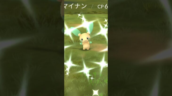 【ポケモンGO】磁力セミナータイムチャレンジ：マイナン！まさかの色違い！？個体値も良き！？#ポケモンgo #ポケモン #pokemongo #pokemon #ゲーム配信 #ゲーム実況 #ゲーム