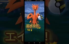 再びガラルサンダーが出現！今度こそゲットなるか！？　#ポケモンGO　#ガラルサンダー　#shorts